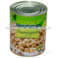 Fresh raw material canned mushroom, all kinds of canned foods